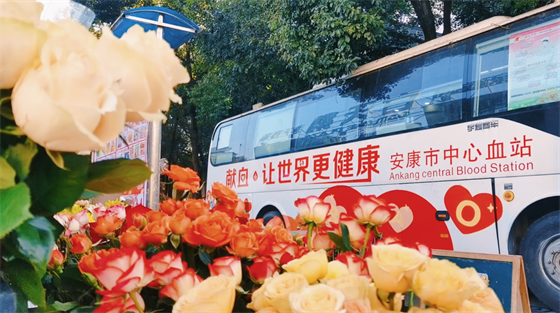 安康這三兄妹，熱血！