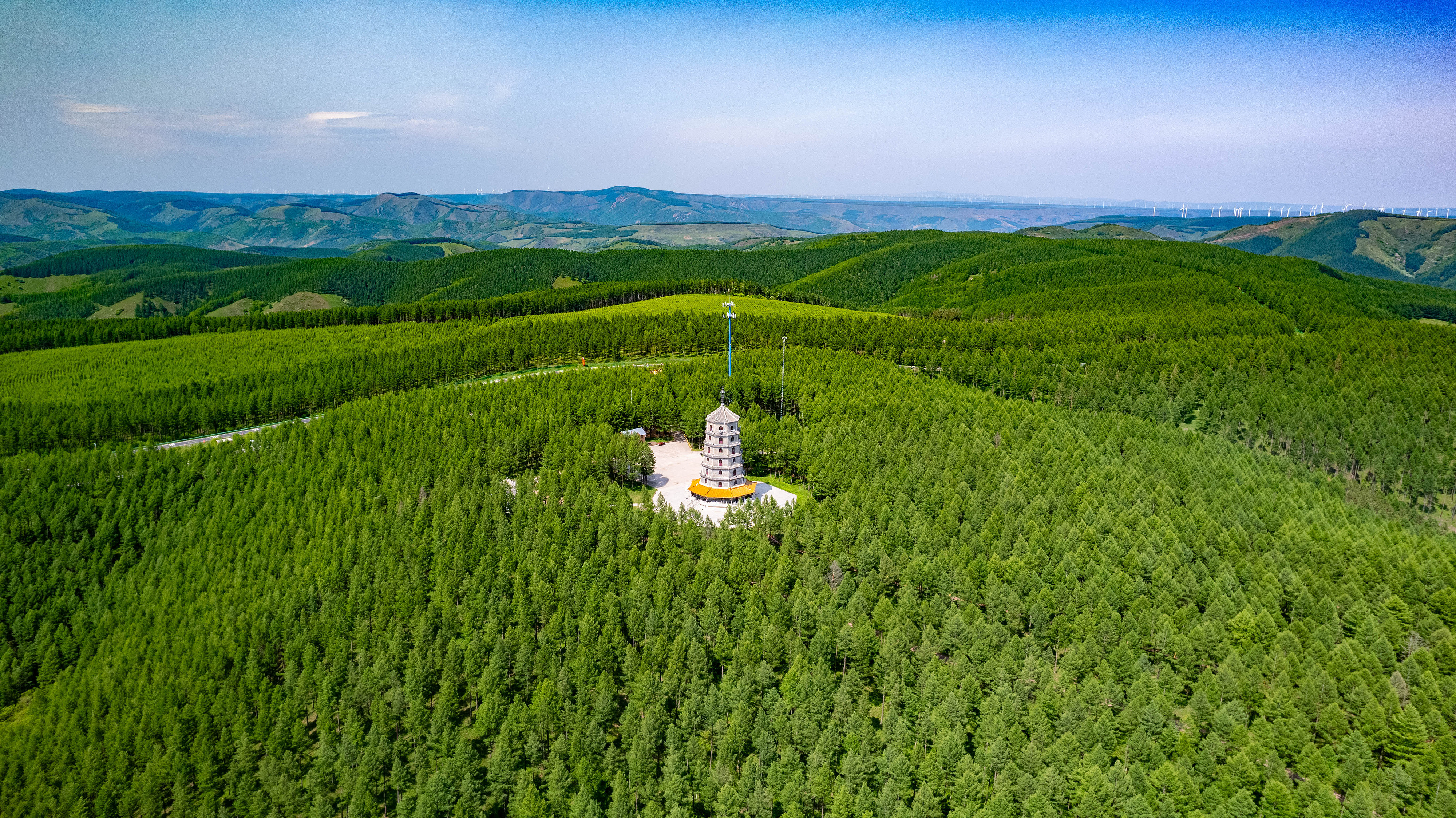 2025年6月11日，河北承德，塞罕壩林海浩渺。