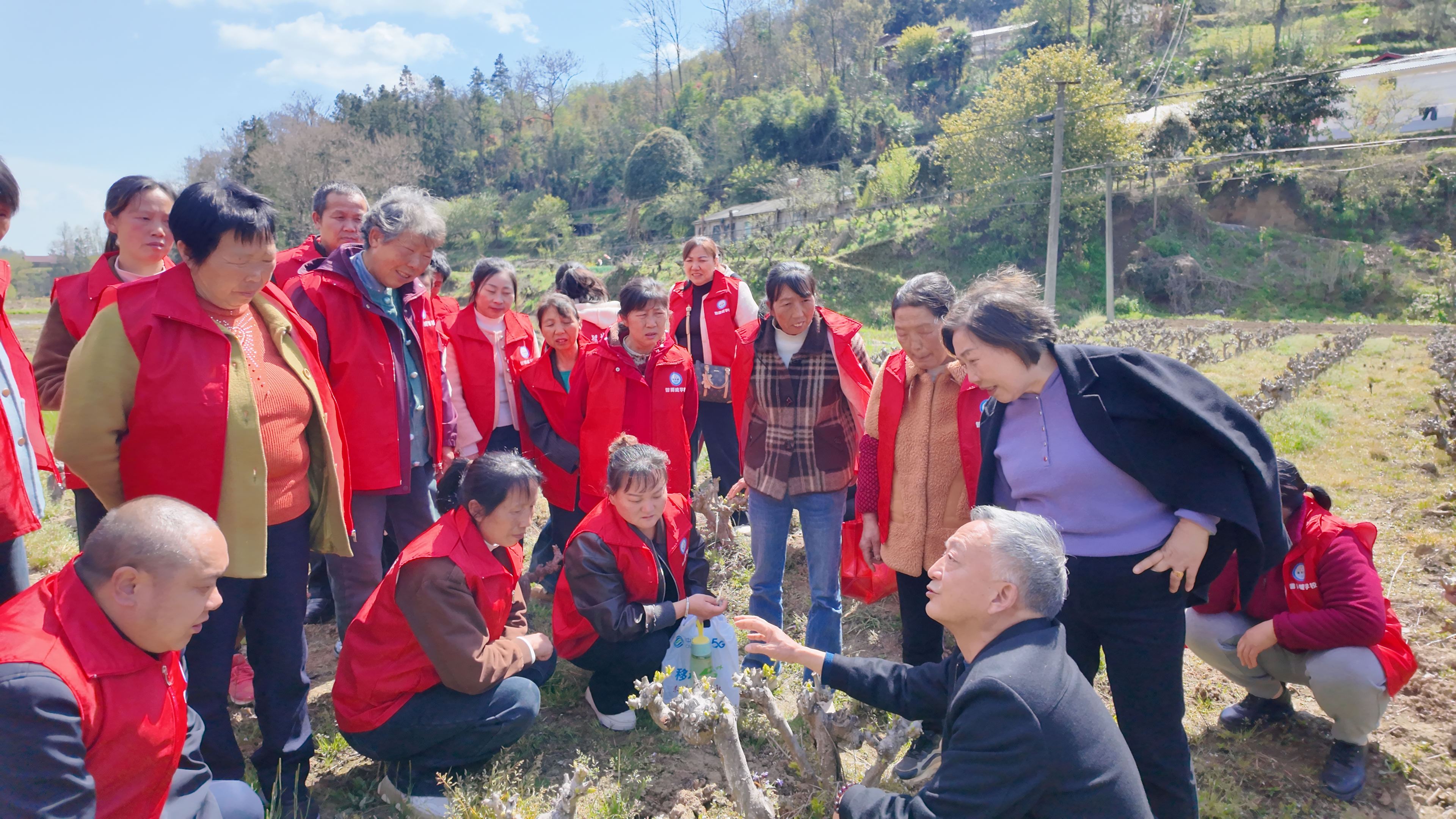 農(nóng)技人員在田間地頭為農(nóng)戶開展蠶桑產(chǎn)業(yè)培訓(xùn)