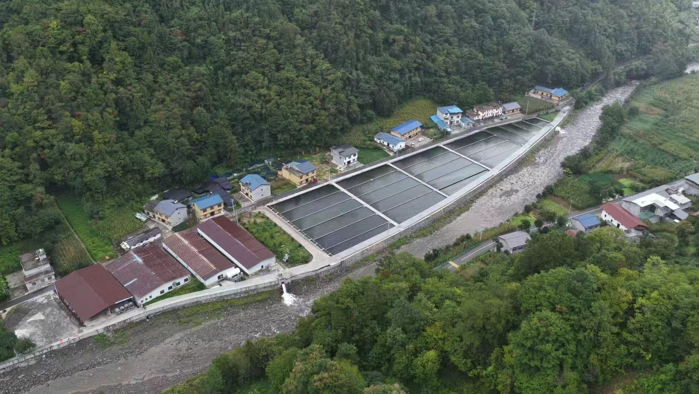 石門鎮(zhèn)大河村生態(tài)流水養(yǎng)魚基地 柯明宇 攝